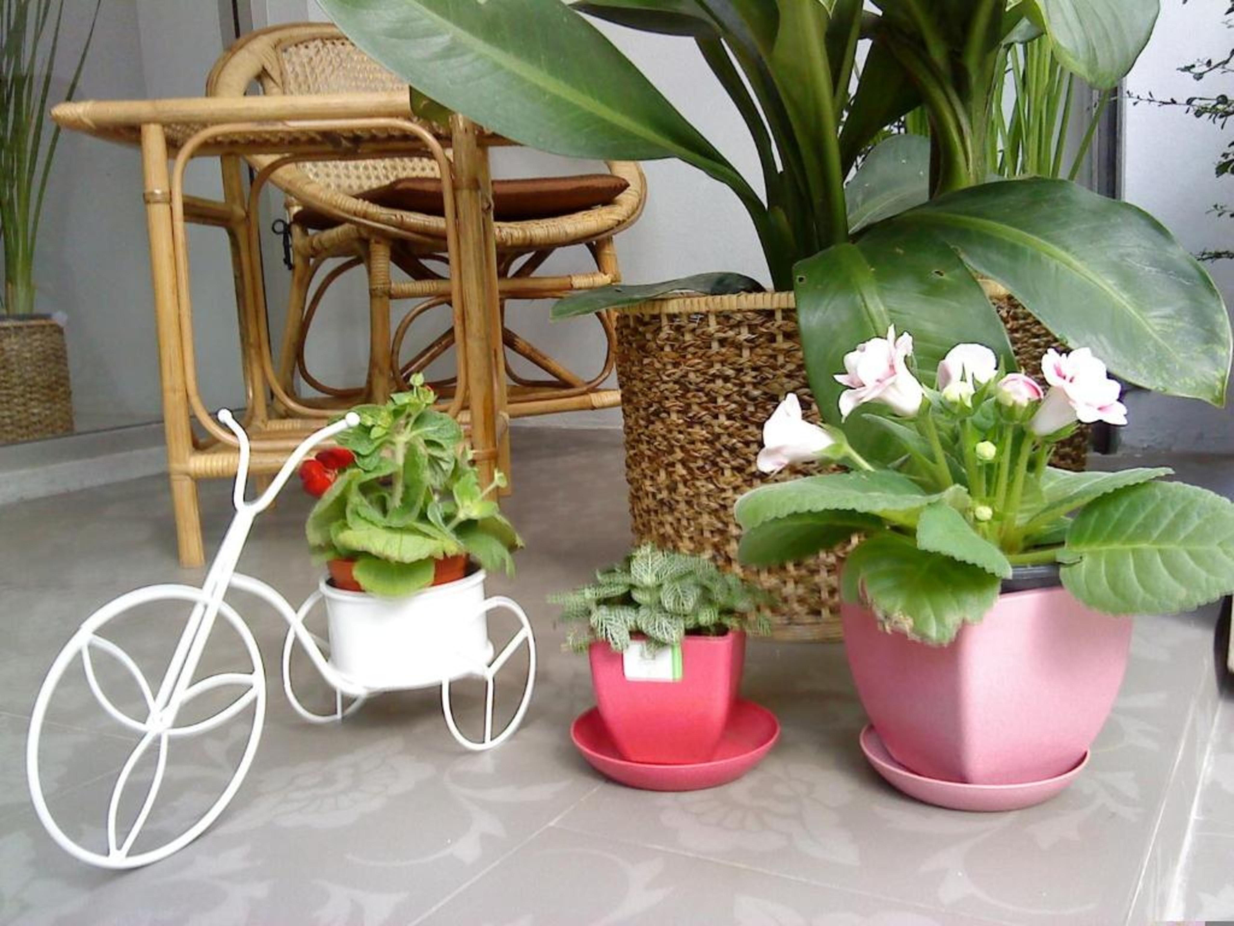 Hotel Marhaba House Chiang Mai Zewnętrze zdjęcie